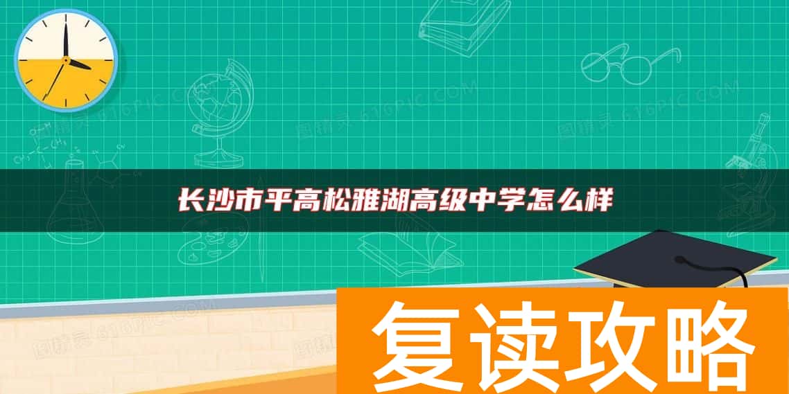 长沙市平高松雅湖高级中学怎么样